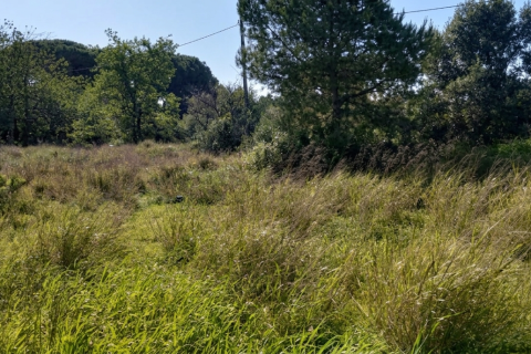 Działka w Chiclana de la Frontera, Cadiz, Hiszpania 9000 mkw. nr 172608 – zdjęcie 22