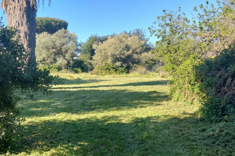 Działka w Chiclana de la Frontera, Cadiz, Hiszpania 9000 mkw. nr 172608 – zdjęcie 16
