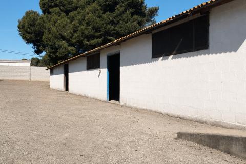 Działka w Chiclana de la Frontera, Cadiz, Hiszpania 9000 mkw. nr 172608 – zdjęcie 3