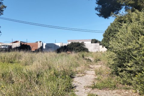 Działka w Chiclana de la Frontera, Cadiz, Hiszpania 9000 mkw. nr 172608 – zdjęcie 18