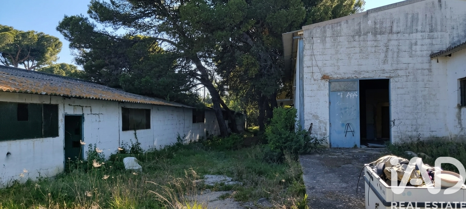 Parcela en Chiclana de la Frontera, Cádiz, España 9000 m2 No. 172608