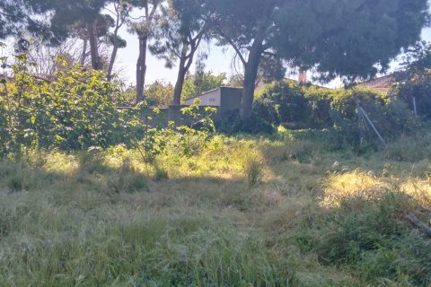 Działka w Chiclana de la Frontera, Cadiz, Hiszpania 9000 mkw. nr 172608 – zdjęcie 12