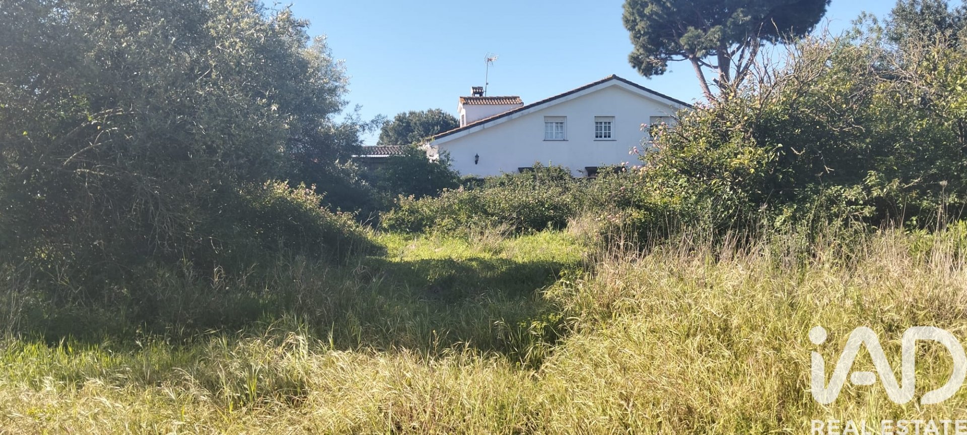 Parcela en Chiclana de la Frontera, Cádiz, España 9000 m2 No. 172608
