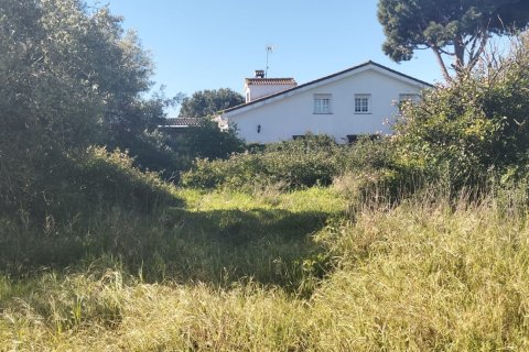 Działka w Chiclana de la Frontera, Cadiz, Hiszpania 9000 mkw. nr 172608 – zdjęcie 6