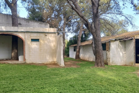 Land plot in Chiclana de la Frontera, Cadiz, Spain 9000 sq.m. No. 172608
