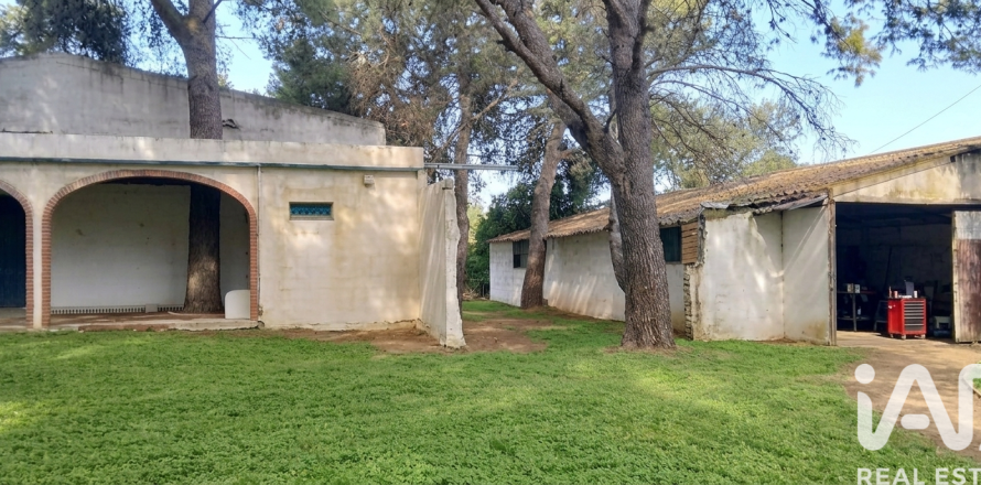 Działka w Chiclana de la Frontera, Cadiz, Hiszpania 9000 mkw. nr 172608