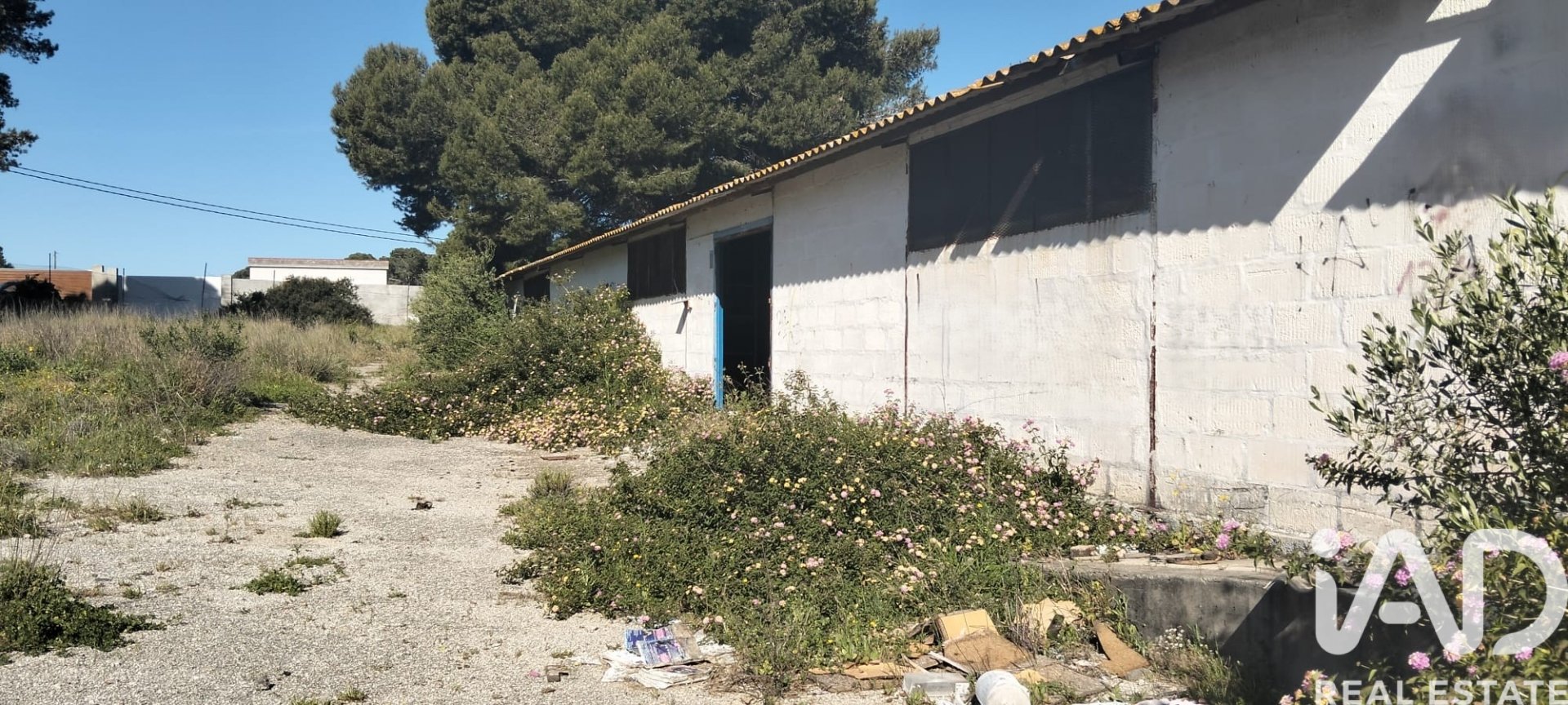 Parcela en Chiclana de la Frontera, Cádiz, España 9000 m2 No. 172608
