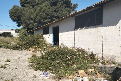 Działka w Chiclana de la Frontera, Cadiz, Hiszpania 9000 mkw. nr 172608 – zdjęcie 4