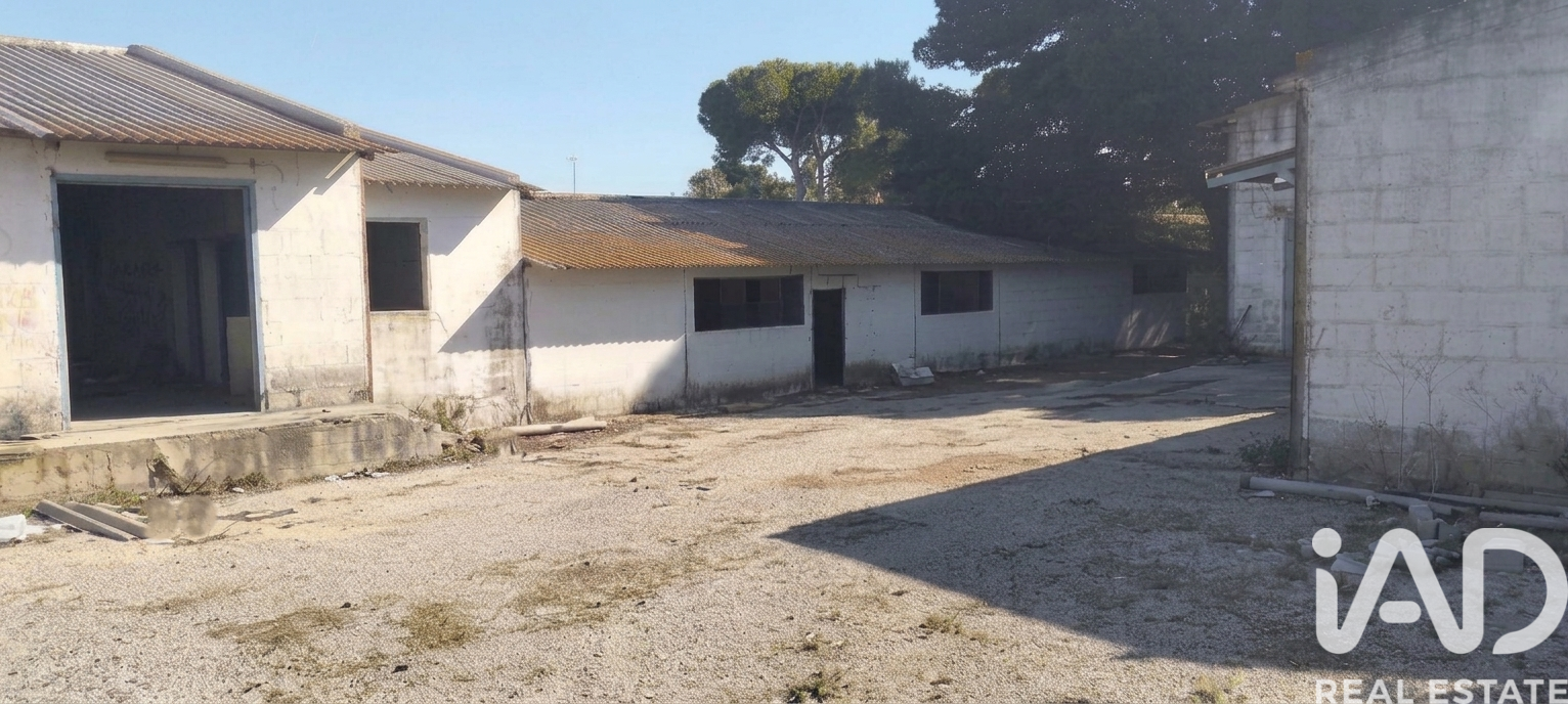 Parcela en Chiclana de la Frontera, Cádiz, España 9000 m2 No. 172608