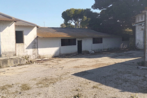 Działka w Chiclana de la Frontera, Cadiz, Hiszpania 9000 mkw. nr 172608 – zdjęcie 15