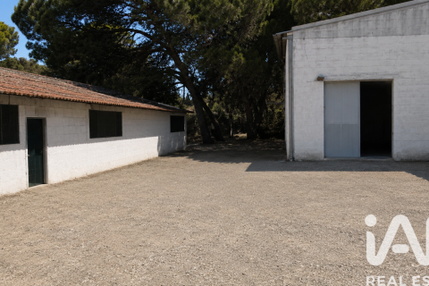 Działka w Chiclana de la Frontera, Cadiz, Hiszpania 9000 mkw. nr 172608 – zdjęcie 25