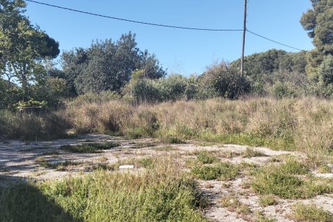 Działka w Chiclana de la Frontera, Cadiz, Hiszpania 9000 mkw. nr 172608 – zdjęcie 8