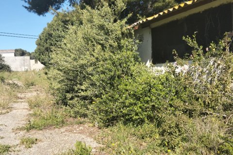 Działka w Chiclana de la Frontera, Cadiz, Hiszpania 9000 mkw. nr 172608 – zdjęcie 17