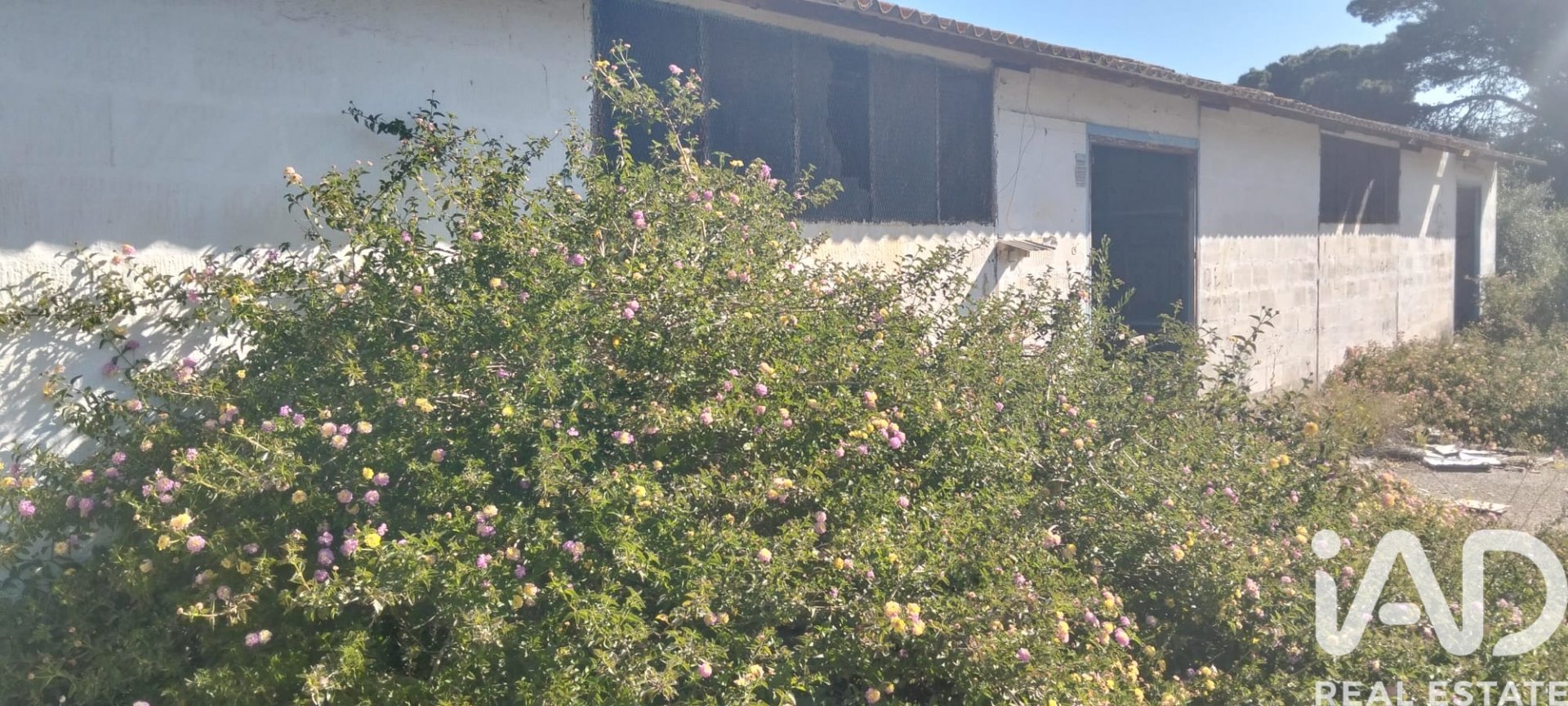 Parcela en Chiclana de la Frontera, Cádiz, España 9000 m2 No. 172608