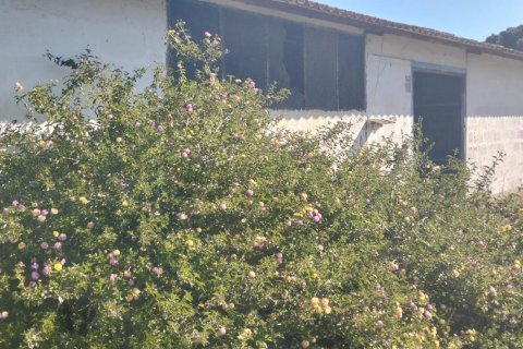 Działka w Chiclana de la Frontera, Cadiz, Hiszpania 9000 mkw. nr 172608 – zdjęcie 21