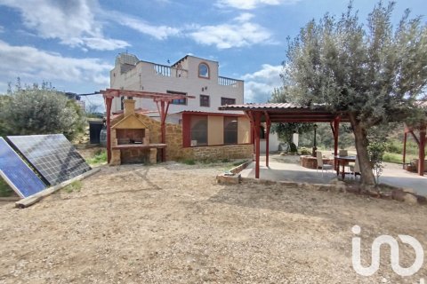 Terreno in vendita a Riba-roja d'Ebre, Tarragona, Spagna 361187 mq. N° 153537 - foto 3