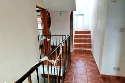 Terreno in vendita a Riba-roja d'Ebre, Tarragona, Spagna 361187 mq. N° 153537 - foto 23