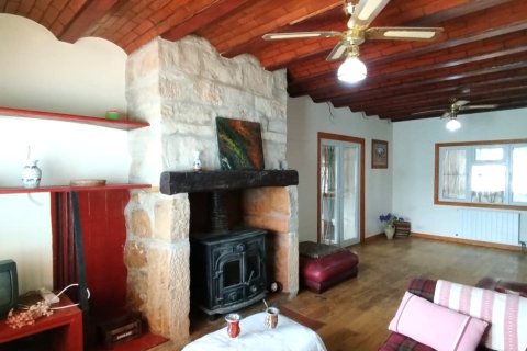 Terreno in vendita a Riba-roja d'Ebre, Tarragona, Spagna 361187 mq. N° 153537 - foto 14