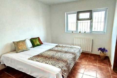 Terreno in vendita a Riba-roja d'Ebre, Tarragona, Spagna 361187 mq. N° 153537 - foto 30