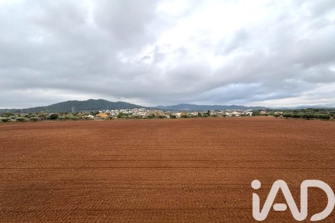 Terreno in vendita a Tarragona, Spagna 35161 mq. N° 173253 - foto 23