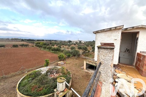 Terreno in vendita a Tarragona, Spagna 35161 mq. N° 173253 - foto 29