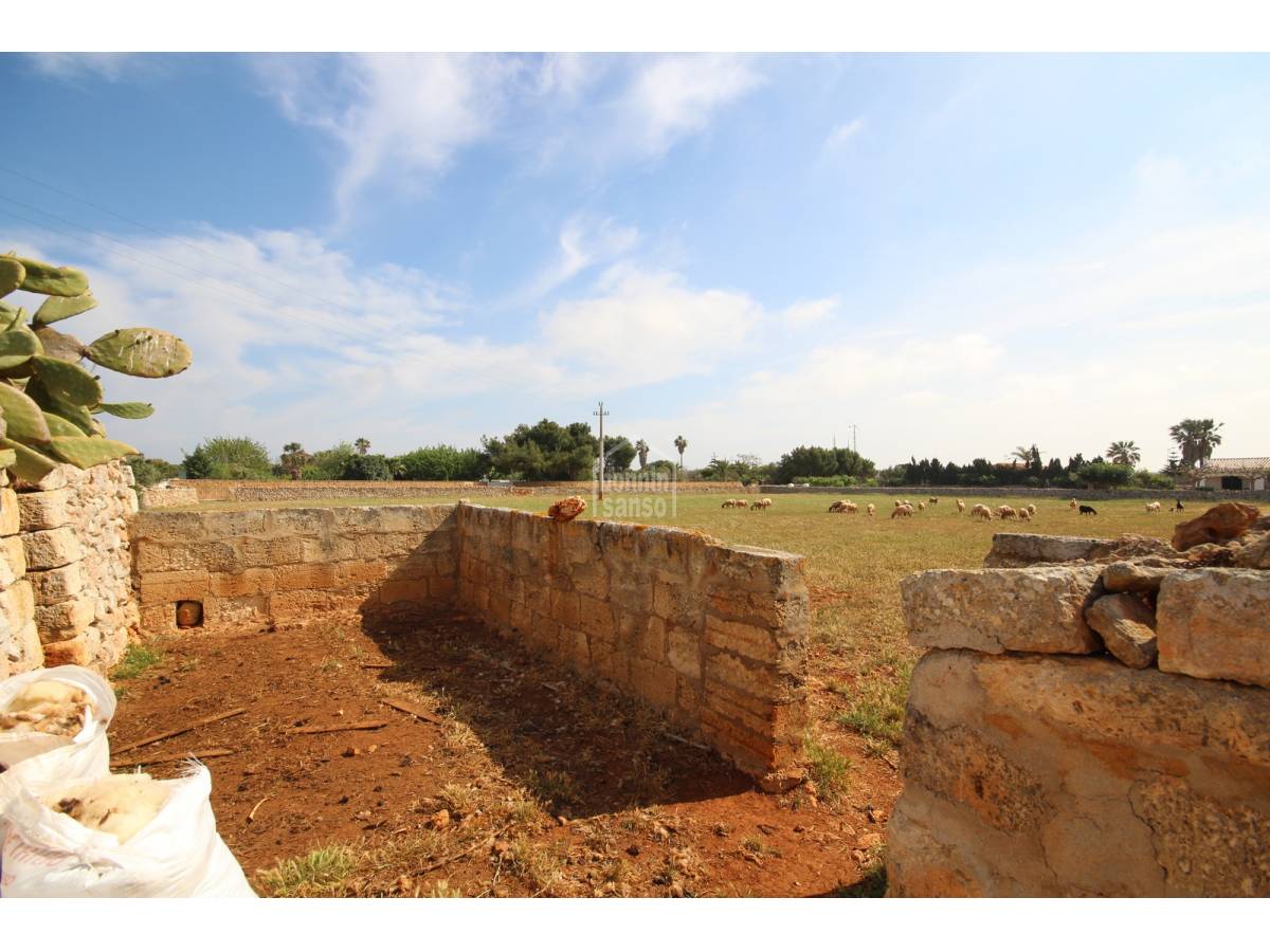 Land plot à Ciutadella De Menorca, Menorca, Espagne No. 65270