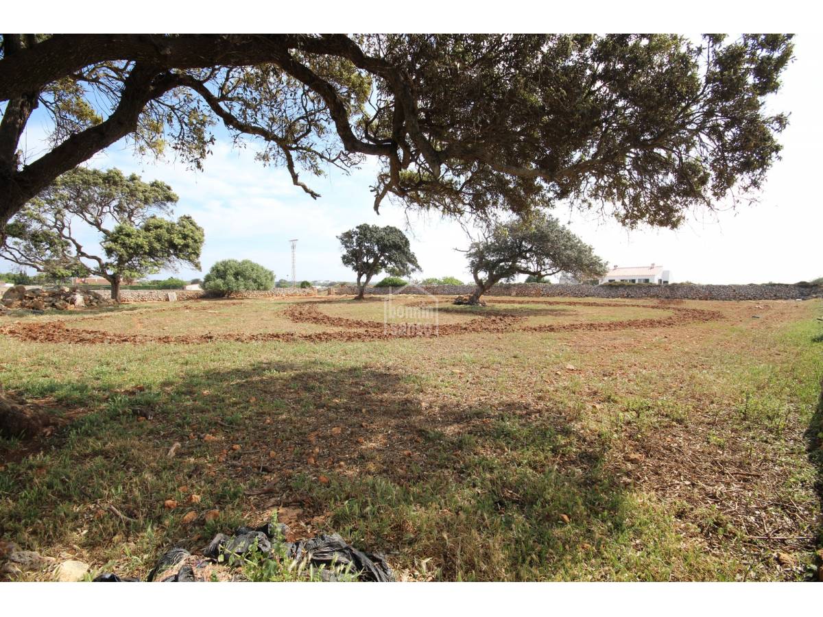 Land plot à Ciutadella De Menorca, Menorca, Espagne No. 65270