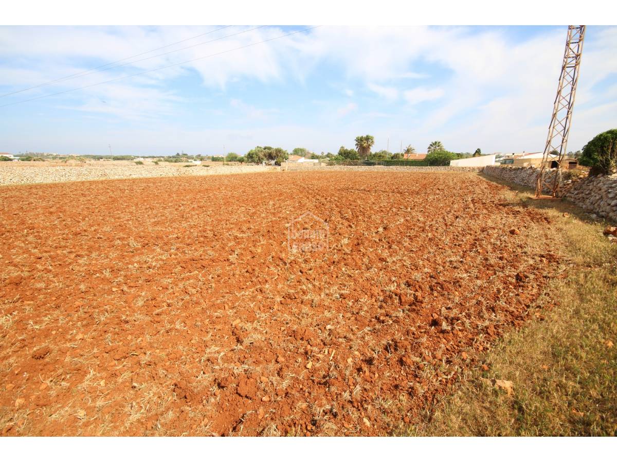 Land plot à Ciutadella De Menorca, Menorca, Espagne No. 65270