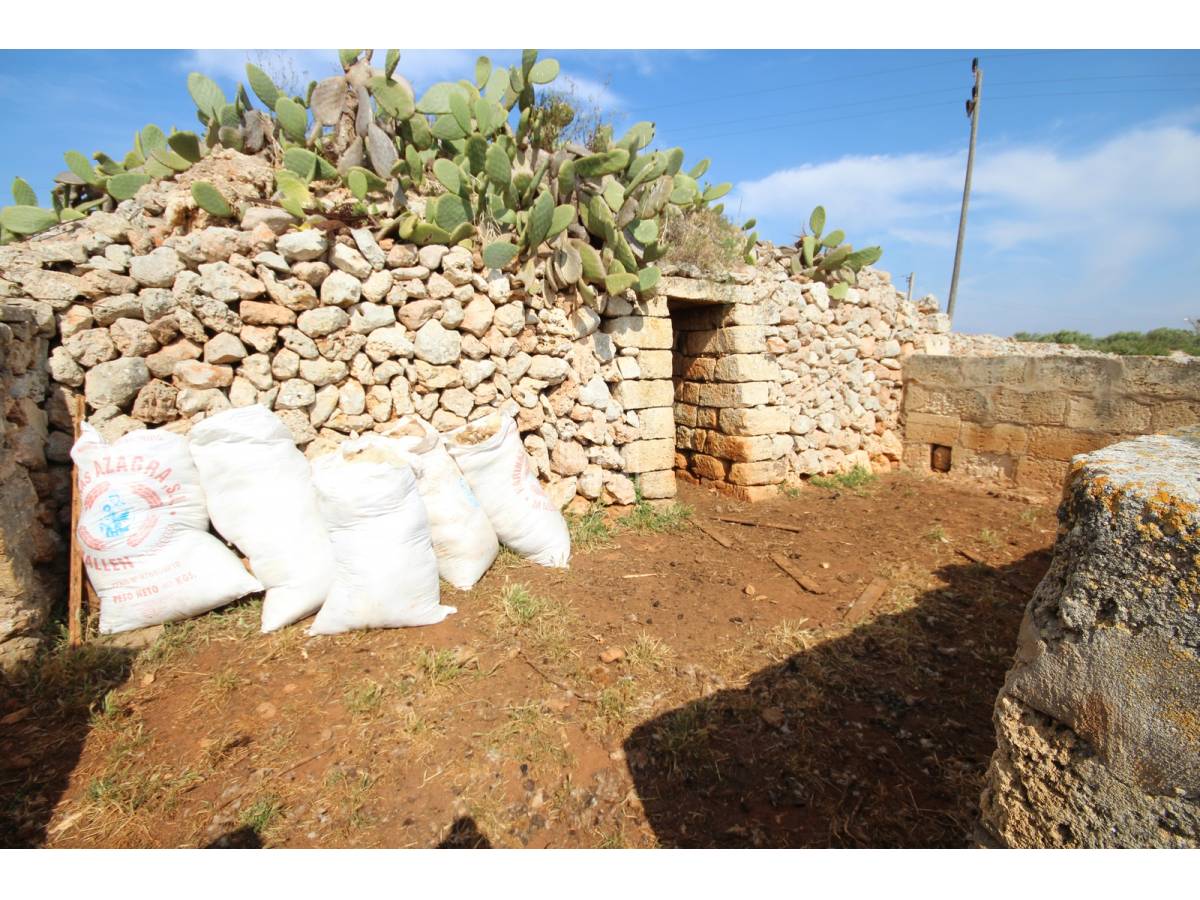 Land plot à Ciutadella De Menorca, Menorca, Espagne No. 65270