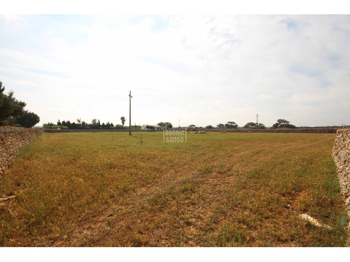 Land plot à Ciutadella De Menorca, Menorca, Espagne No. 65270