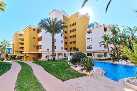 Appartamento in affitto a Punta Prima, Alicante, Spagna 2 camere da letto, 85 mq. N° 144838 - foto 21