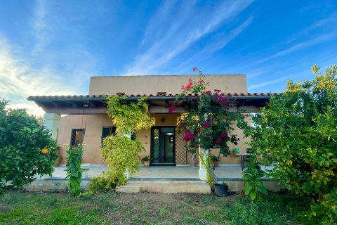 Finca in affitto a Llubi, Mallorca, Spagna 3 camere da letto, 183 mq. N° 144684 - foto 2