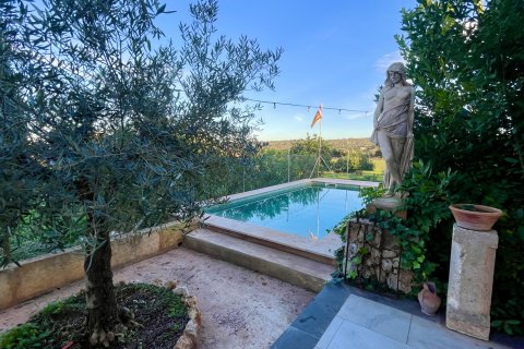 Finca in affitto a Llubi, Mallorca, Spagna 3 camere da letto, 183 mq. N° 144684 - foto 4