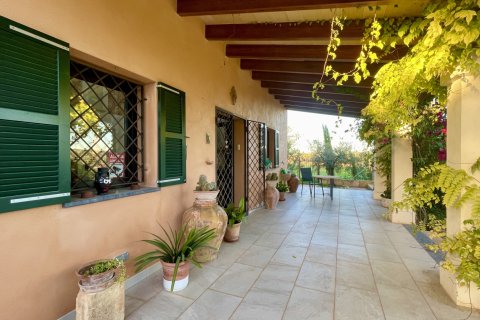 Finca in affitto a Llubi, Mallorca, Spagna 3 camere da letto, 183 mq. N° 144684 - foto 5