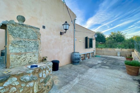 Finca in affitto a Llubi, Mallorca, Spagna 3 camere da letto, 183 mq. N° 144684 - foto 15