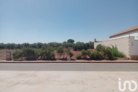 Parcela en Cañada Rosal, Sevilla, España 468 m2 No. 186117