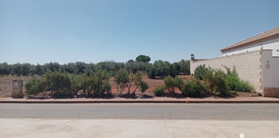 Земельный участок в Каньяда Росаль, Севилья, Испания 468м2 №186117