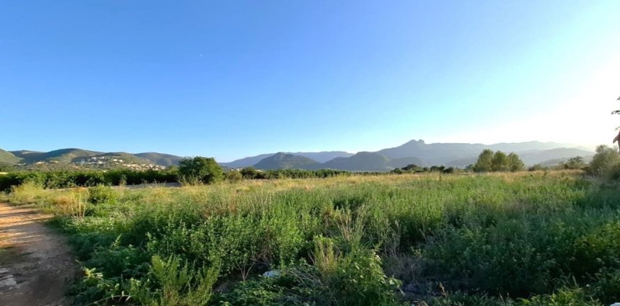 Terreno a Orba, Alicante, Spagna 5459 mq. N° 186112