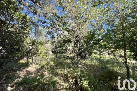 Terreno in vendita a Fuenteheridos, Huelva, Spagna 7974 mq. N° 186111 - foto 15