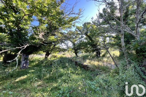 Land plot in Fuenteheridos, Huelva, Spain 7974 sq.m. No. 186111