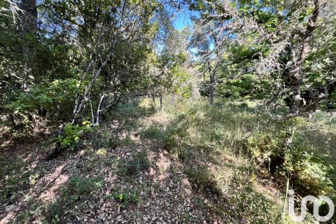 Terreno in vendita a Fuenteheridos, Huelva, Spagna 7974 mq. N° 186111 - foto 16