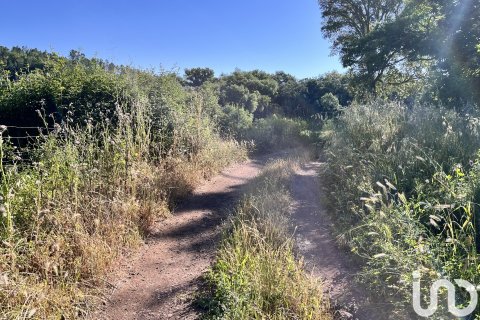 Terreno in vendita a Fuenteheridos, Huelva, Spagna 7974 mq. N° 186111 - foto 9