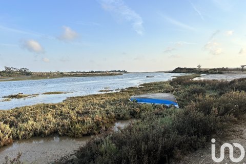 Land plot à vendre à Cartaya, Huelva, Espagne, 9759 m2 No. 186113 - photo 10