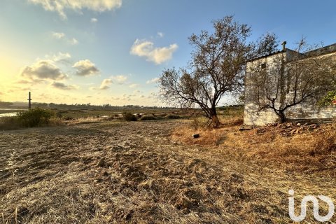 Land plot à vendre à Cartaya, Huelva, Espagne, 9759 m2 No. 186113 - photo 2