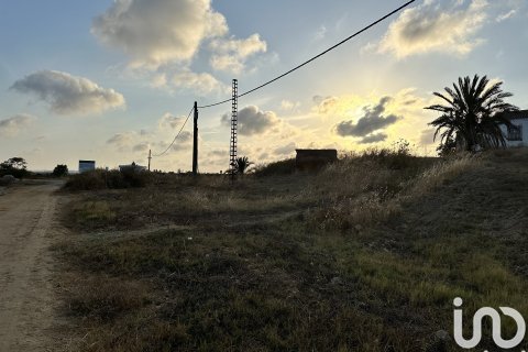 Land plot à vendre à Cartaya, Huelva, Espagne, 9759 m2 No. 186113 - photo 18