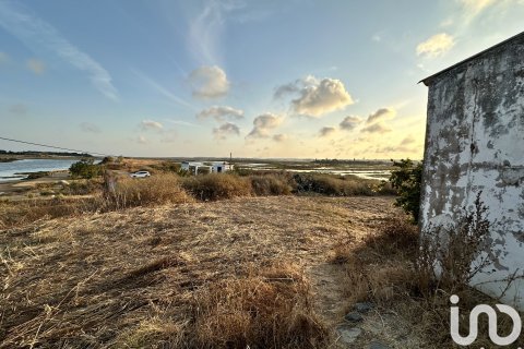 Land plot à vendre à Cartaya, Huelva, Espagne, 9759 m2 No. 186113 - photo 11