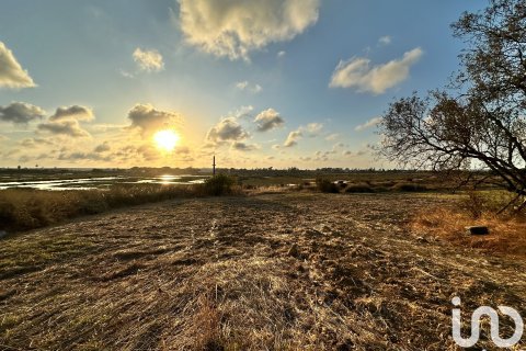 Land plot à vendre à Cartaya, Huelva, Espagne, 9759 m2 No. 186113 - photo 3
