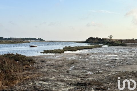 Land plot à vendre à Cartaya, Huelva, Espagne, 9759 m2 No. 186113 - photo 16