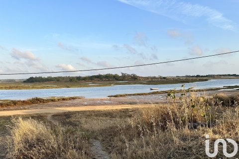 Land plot à vendre à Cartaya, Huelva, Espagne, 9759 m2 No. 186113 - photo 9