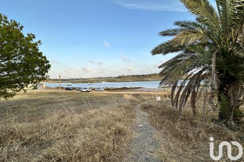 Land plot à vendre à Cartaya, Huelva, Espagne, 9759 m2 No. 186113 - photo 5